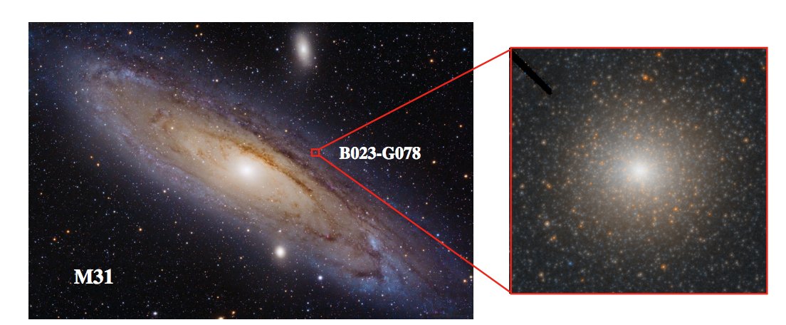 You are currently viewing Intermediate mass black hole in the centre of M31’s largest globular cluster